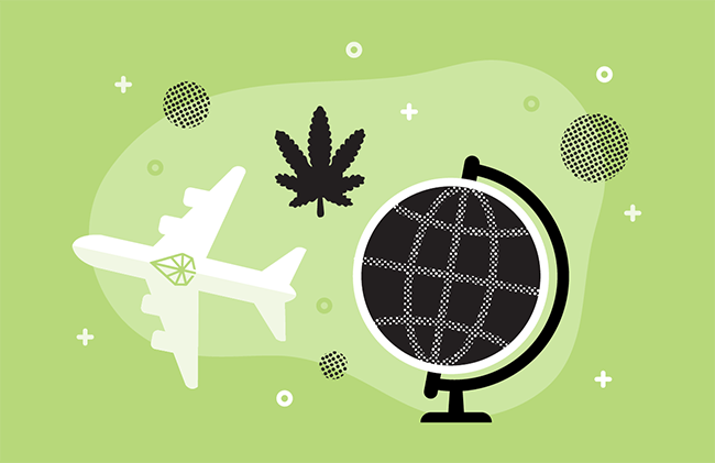 Green Airplane Logo - Everything You Need to Know when Traveling with Cannabis - Green ...