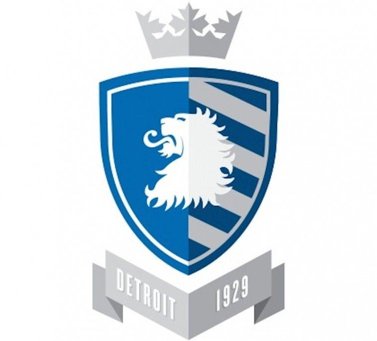 Lion Football Logo - NFL Team Logos Redesigned as 'Football' Logos