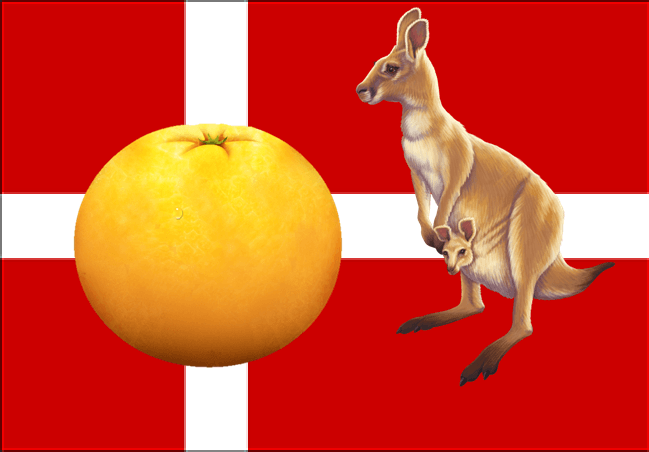 Orange Kangaroo Logo - Denmark Kangaroo Orange Trick & Mathematical vs Real Life ...