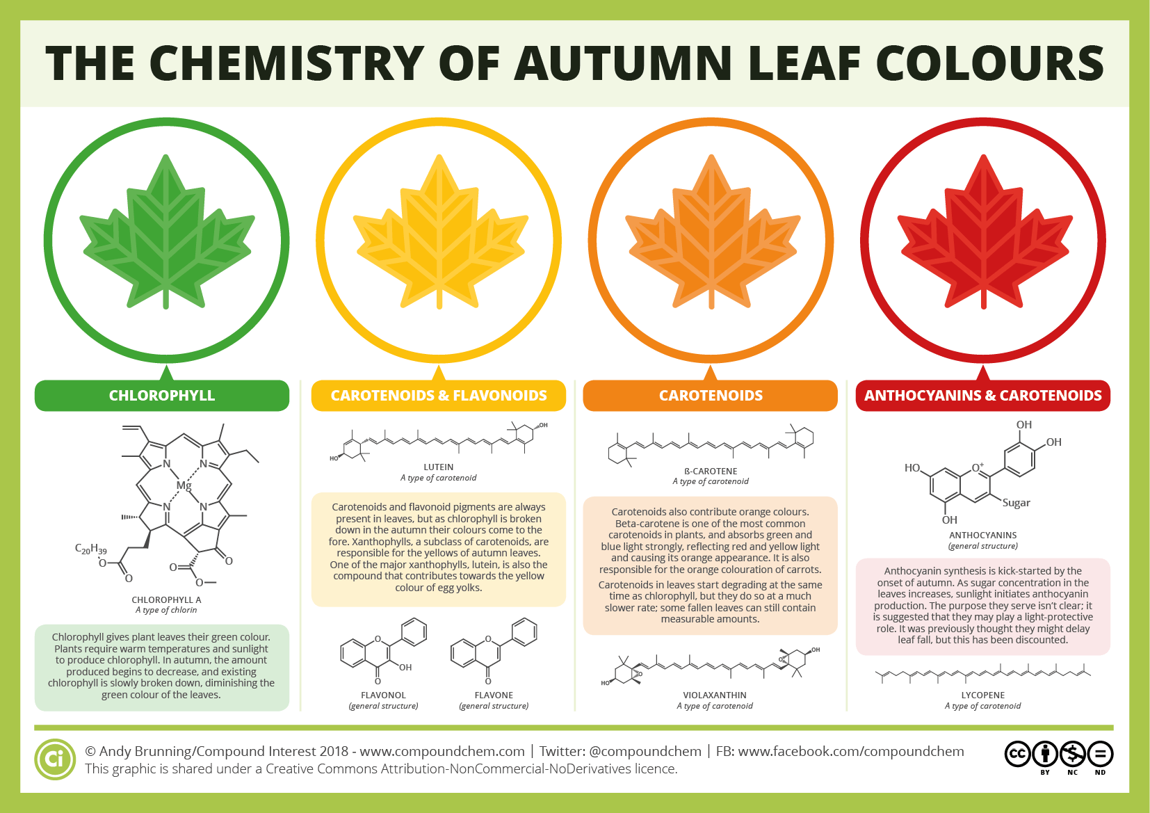Blue and Yellow Green Leafs Logo - The Chemicals Behind the Colours of Autumn Leaves. Compound