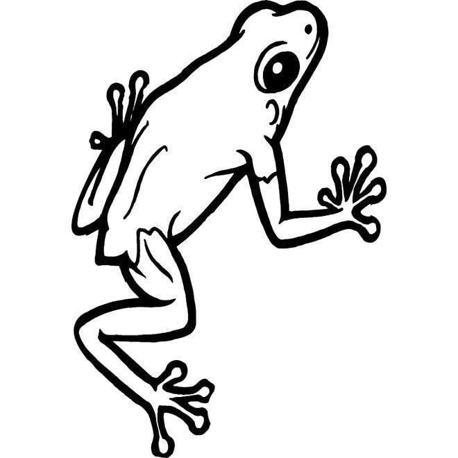 White and Black Frog Logo - FROG VECTOR IMAGE 2 - Download at Vectorportal