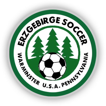 Green Soccer Logo - Vereinigung Erzgebirge, Inc