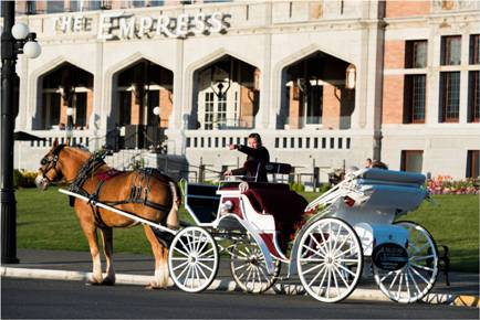 Horse and Carriage Logo - Tours – Tally-Ho Tours