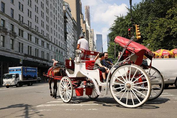 Horse and Carriage Logo - In His 5th Year as Mayor, de Blasio Finally Acts on Horse-Carriage ...