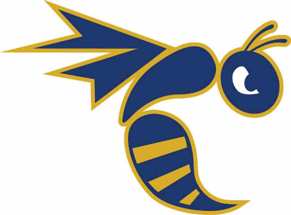Wasp Sports Logo - Kingsport Times News: NCAA Hits E&H Athletics With Two Years' Probation