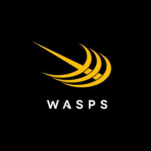 Wasp Sports Logo - Foreign Climes and New Logos
