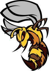 Wasp Sports Logo - 29 Best Hornets Logos images in 2019 | Volleyball, Hornet, Sports logos