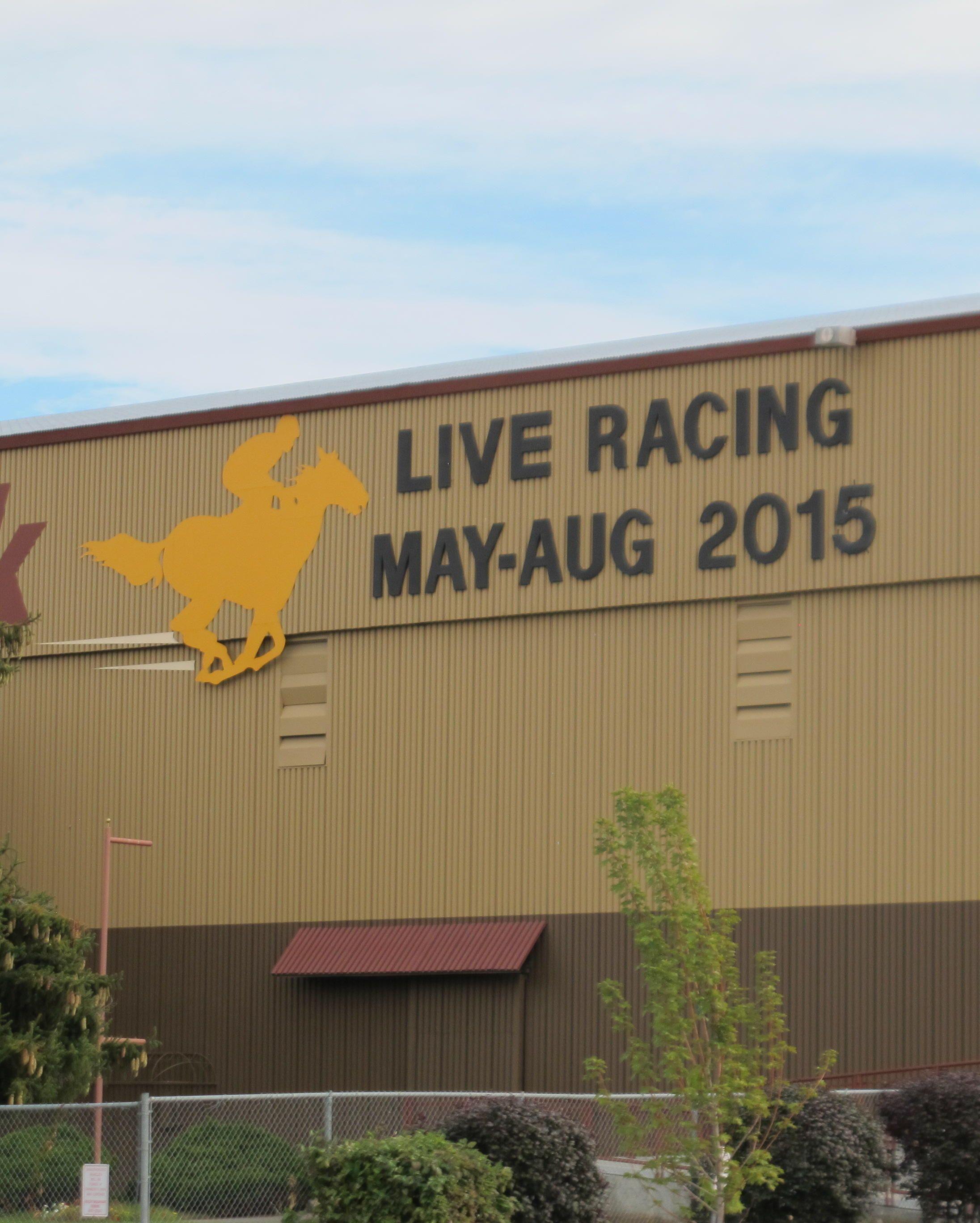 Horse Fighting Logo - Idaho Horsemen Still Fighting To Revive Industry. Boise State