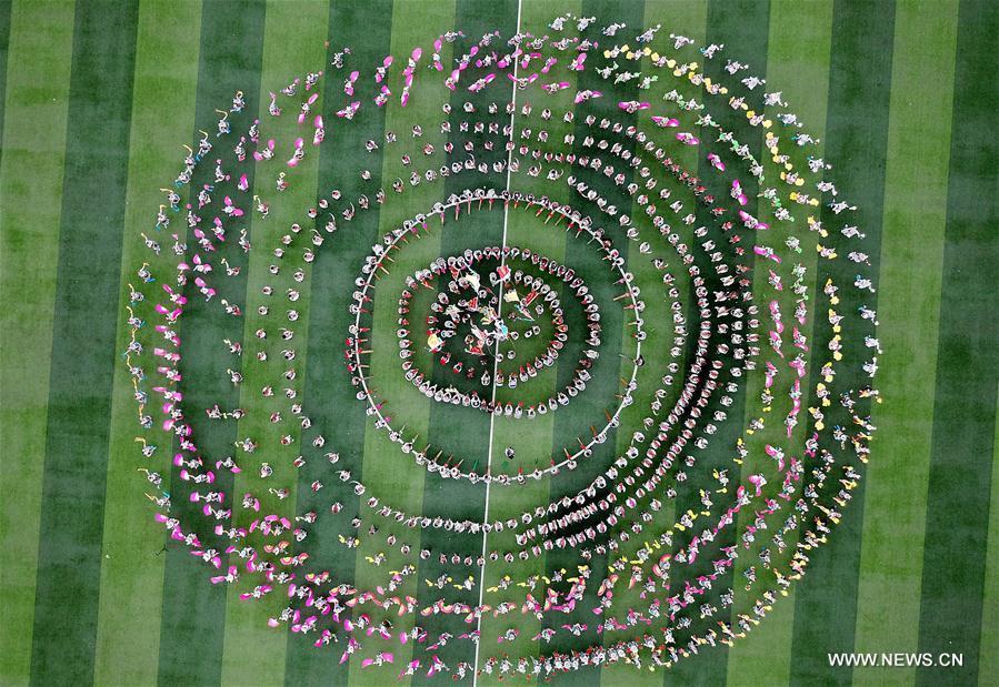 Horse Fighting Logo - Miao People Mark 'Lusheng And Horse Fighting' Festival In Guangxi(1 8)