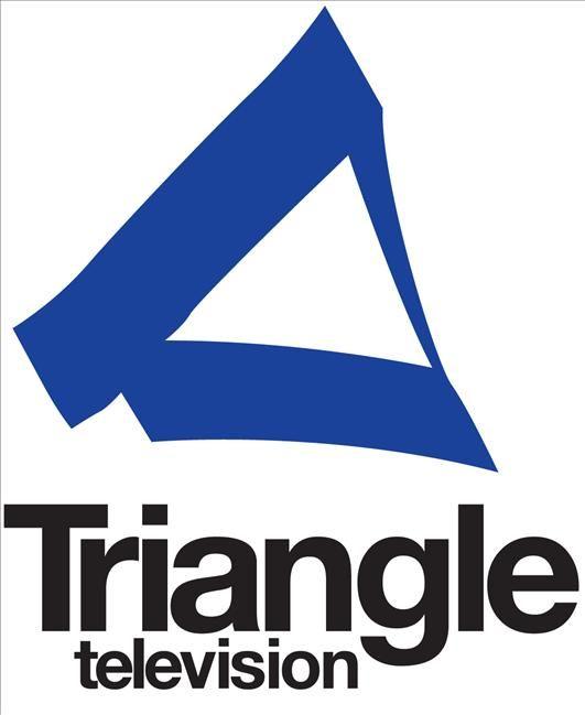 Triangle TV Logo - Triangle TV adds another angle to Awards – indiannewslink.co.nz