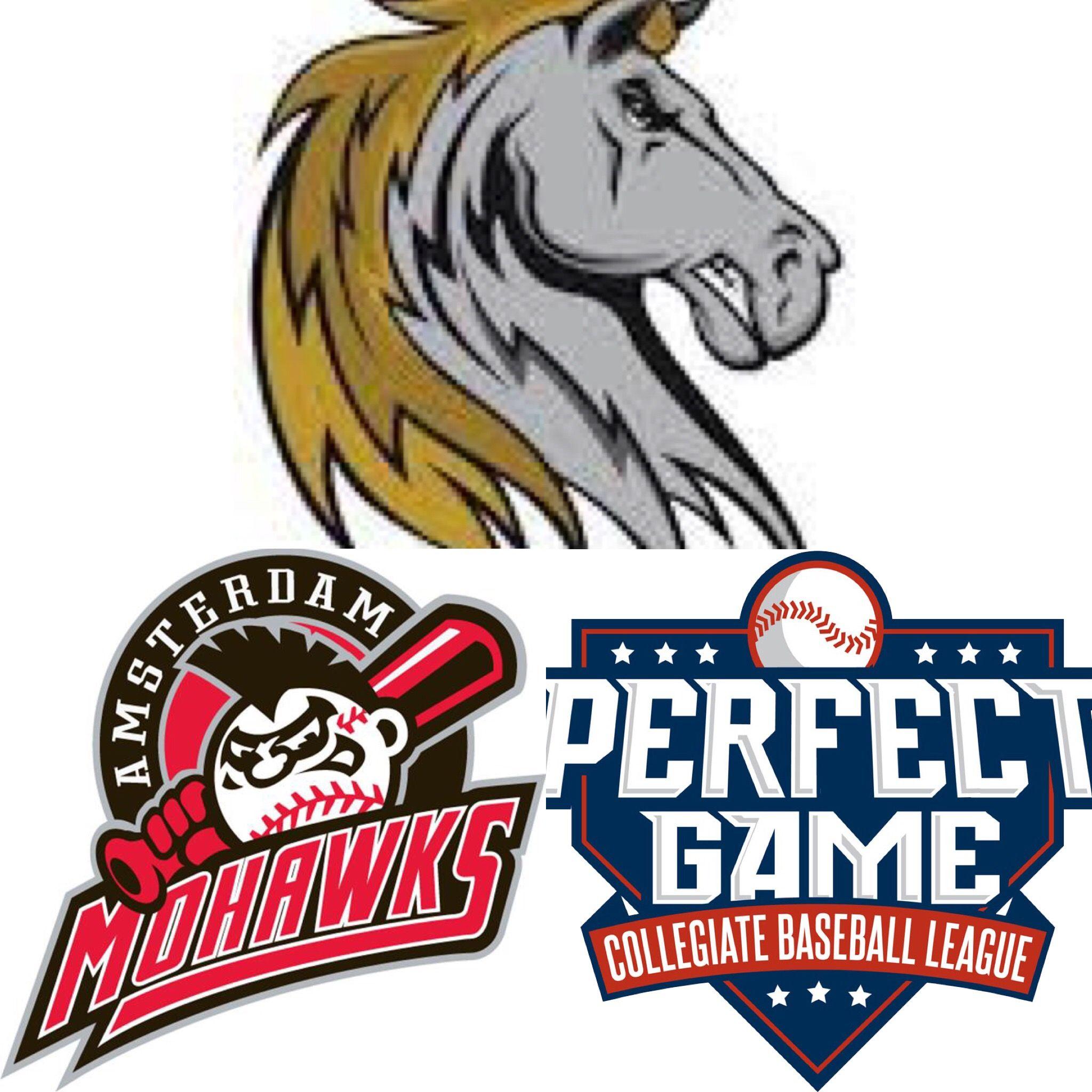 Horse Fighting Logo - Preview: Game of the summer PGCBL's Saugerties Stallions vs