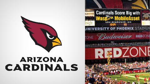 Wasp Sports Logo - Sports Equipment Asset Management: Arizona Cardinals