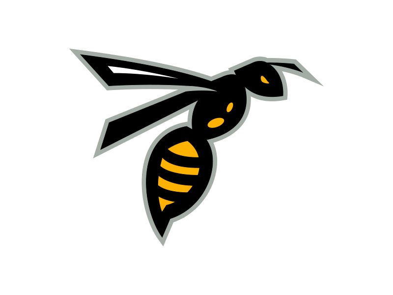 Wasp Sports Logo - Sting by Colin Stasuik | Dribbble | Dribbble