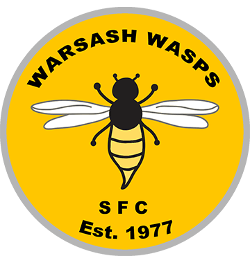 Wasp Sports Logo - Warsash Wasps – Sports and Football Club (Est. 1977)
