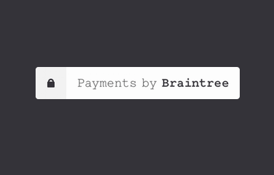 Braintree Payments Logo - Braintree Payments – Sprout Invoices