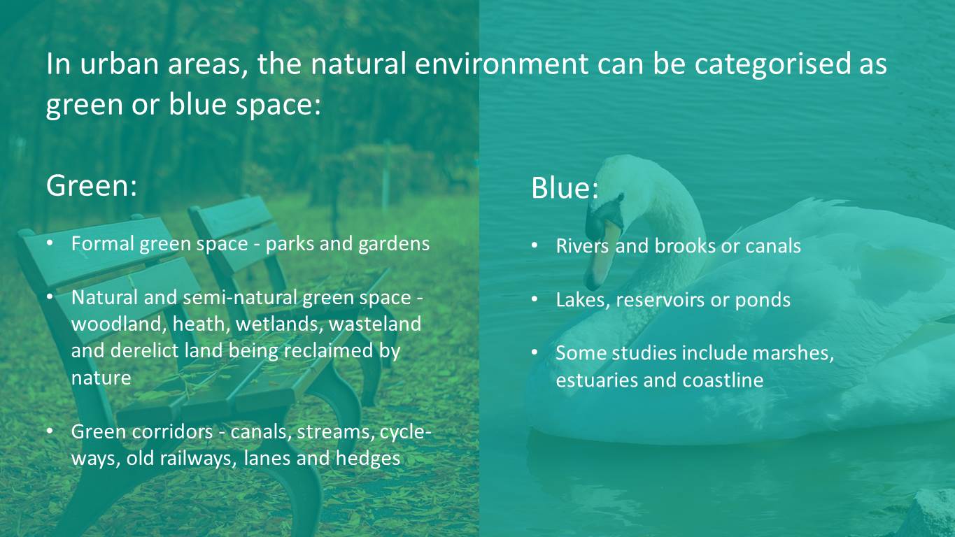 Green and Blue People Logo - Green space, mental wellbeing and sustainable communities - Public ...