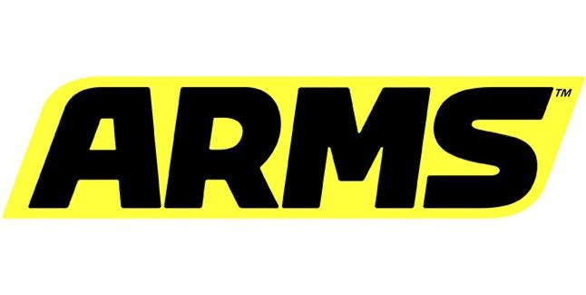 Yellow in the Game Logo - What is the font used in the logo and in-game? : ARMS