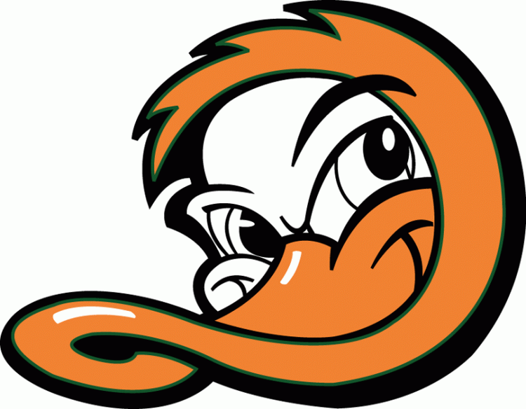 Ducks Sports Logo - Long Island Ducks Cap Logo - Atlantic League (ALPB) - Chris ...