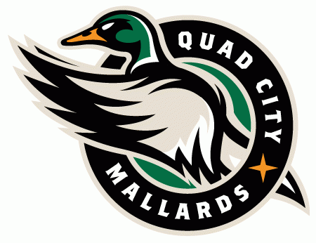 Ducks Sports Logo - Quad City Mallards Primary Logo - Central Hockey League (CeHL ...