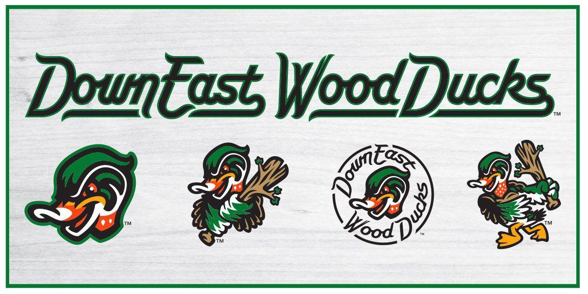 Ducks Sports Logo - The Down East Wood Ducks Have an Awesome New Logo