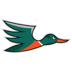 Ducks Sports Logo - Tag: Anaheim Ducks concept logos | Sports Logo History