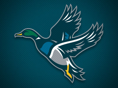 Ducks Sports Logo - Anaheim Ducks Concept Alt by Chad B Stilson