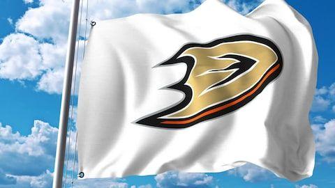 Ducks Sports Logo - Duck Sports Logo Stock Video Footage and HD Video Clips