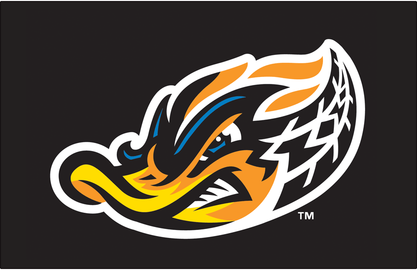Ducks Sports Logo - Akron RubberDucks Jersey Logo - Eastern League (EL) - Chris ...