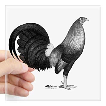 Rooster in Red Square Logo - CafePress Gamecock Red Hatch Rooster Sticker Square