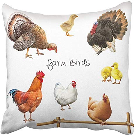 Rooster in Red Square Logo - Amazon.com: Throw Pillow Cover Square 18x18 Inches Red Farm Birds ...