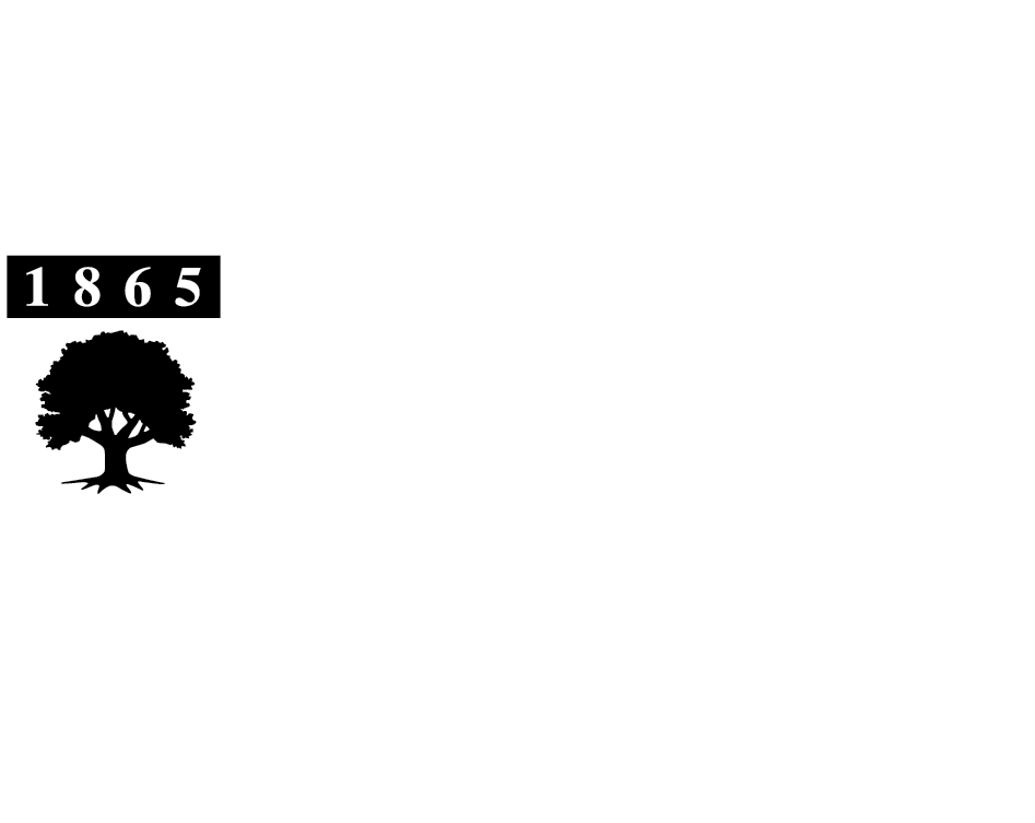 Rider Broncos Logo - Graphic Standards Manual and Editorial Style Guide | Rider University