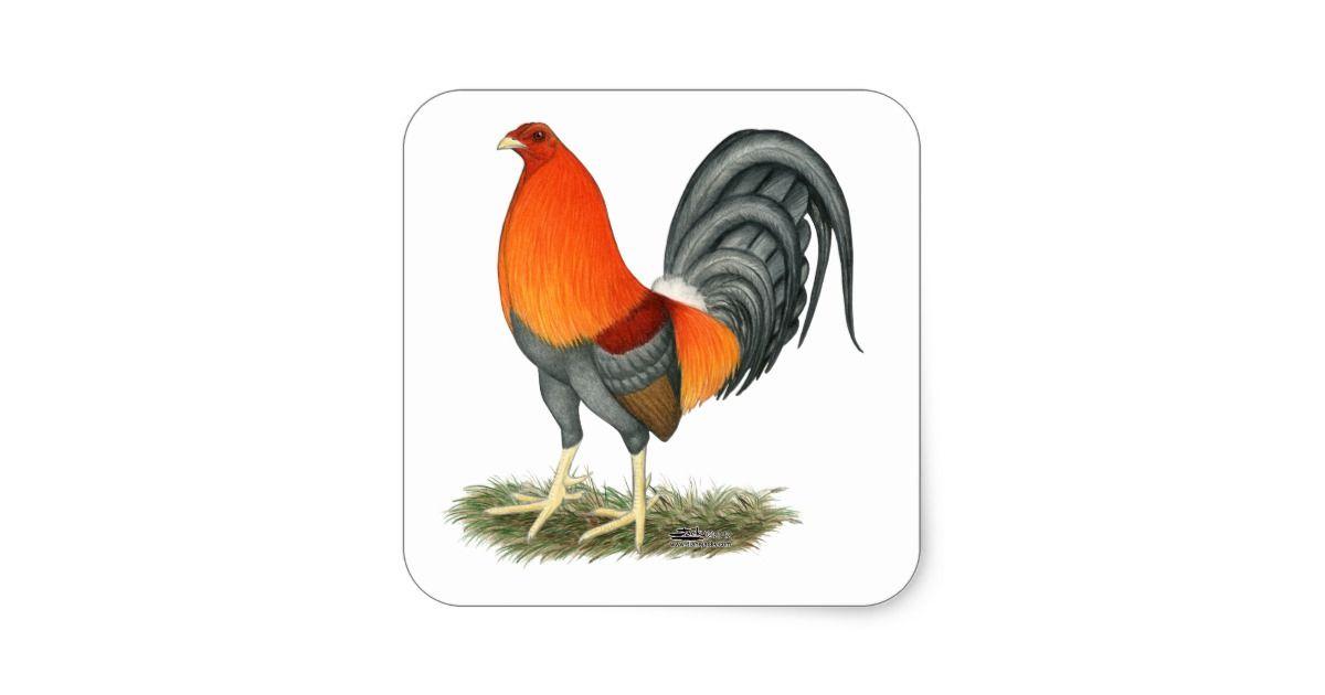 Rooster in Red Square Logo - Gamecock Blue Red Rooster Square Sticker | Zazzle.com