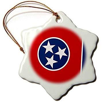 Blue Circle with White Star Logo - Amazon.com: Christmas Ornament InspirationzStore Flags - Flag of ...