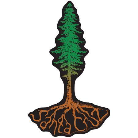 Santa Cruz Tree Logo - Decal Santa Cruz Redwood Roots Tree Sticker - by Tim Ward