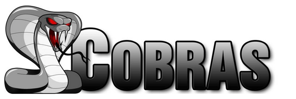 Cobras Baseball Logo - 17U Columbus Cobras