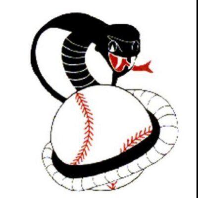 Cobras Baseball Logo - Columbus Cobras