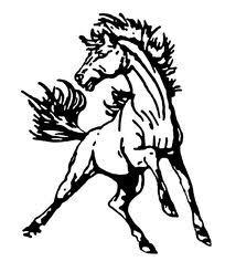 Mustang Sports Logo - Mustangs Clinch League Soccer Title