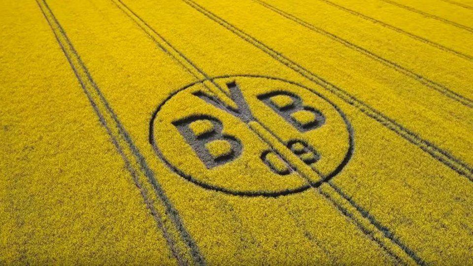 BVB Logo - BVB