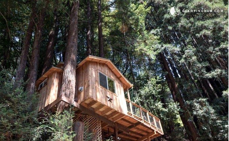 Santa Cruz Tree Logo - Romantic Getaway in Redwoods of Santa Cruz