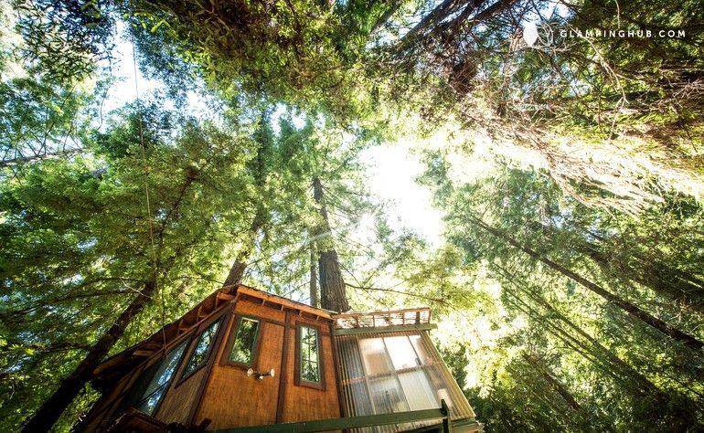 Santa Cruz Tree Logo - Glamping Tree House in Santa Cruz Mountains near Monterey Bay, CA