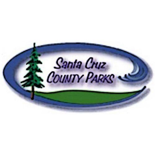 Santa Cruz Tree Logo - Santa Cruz County Home