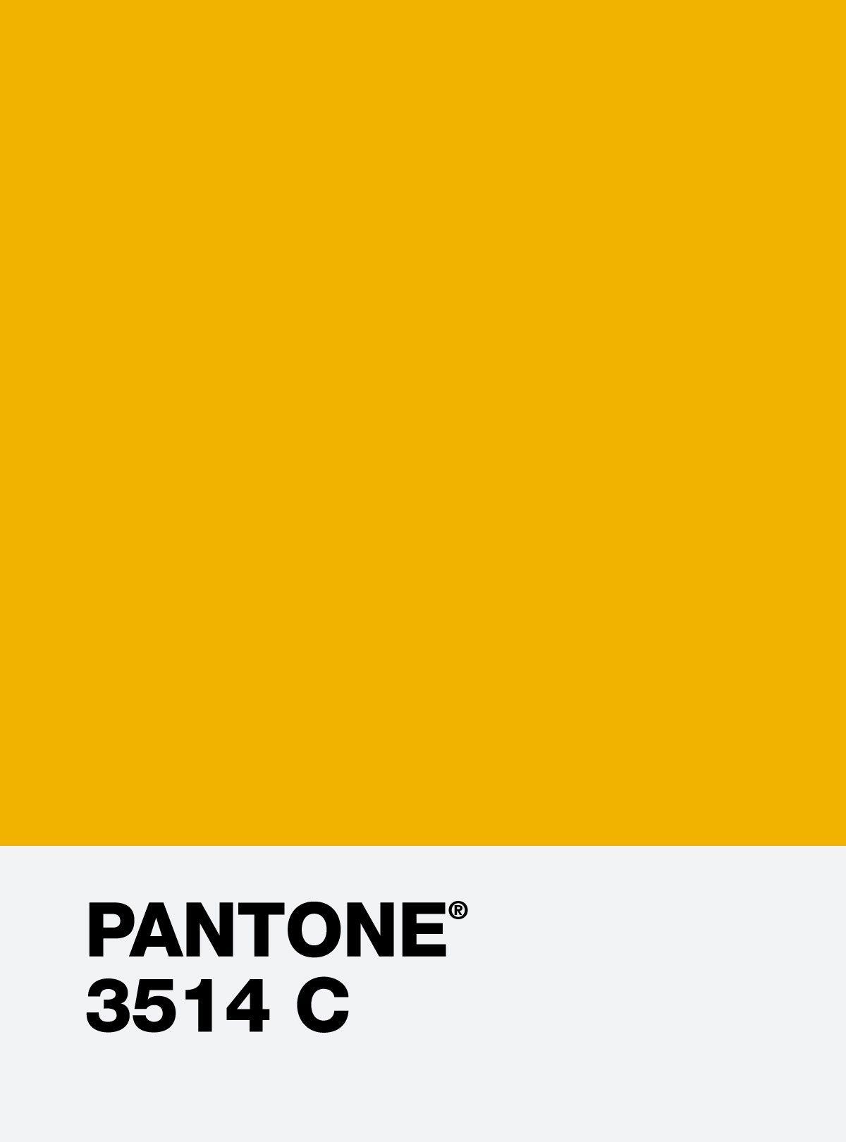 Pantone 390 Green and Grey Logo - Graphics - Affect Your Customer with Effective Packaging