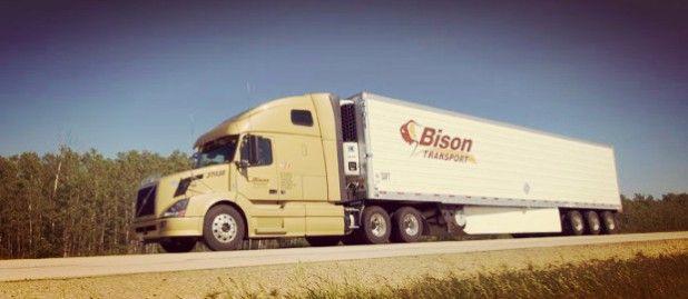 Bison Transport Logo - Top Trucking Companies in Canada Training Canada