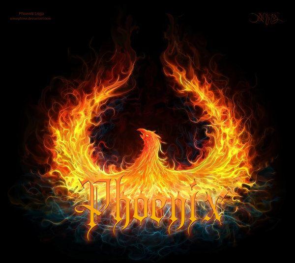 Phoenix Fire Logo - Phoenix logo by amorphisss- Fly Like a Bird 3