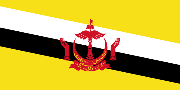 Red Yellow -Green Flag Logo - Brunei. Flags of countries