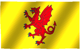 Red Yellow -Green Flag Logo - Somerset | ABC Flag Blog