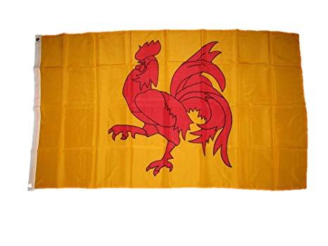 Red Yellow -Green Flag Logo - AES 3x5 Red Rooster Chicken Cock Wallonia French Yellow Flag 3'x5' Banner