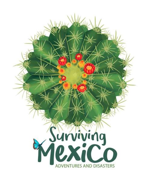 Cactus Logo - Cactus logo | Surviving Mexico