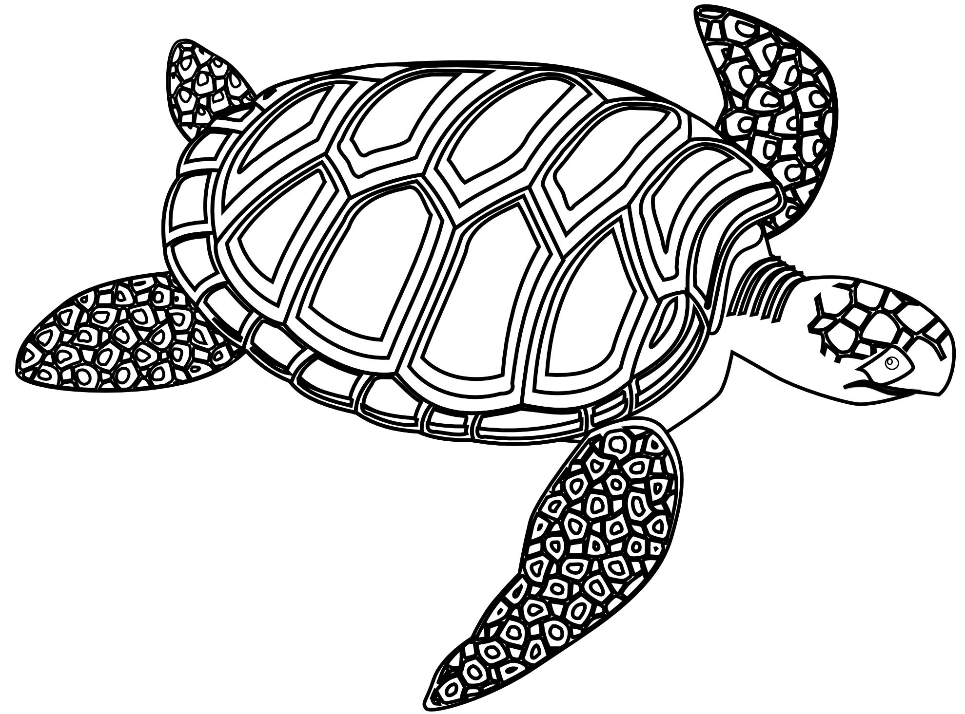 Black and White Turtle Logo - black and white turtle