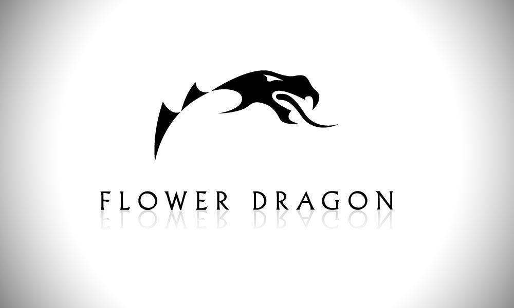 Cool Dragons Logo - Cool Dragon Logos | logo design envy products approached front to ...